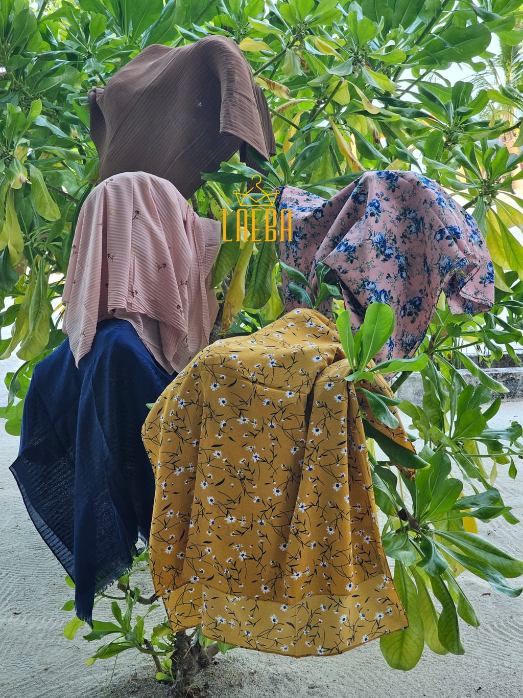 Chiffon Design Shawl